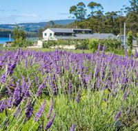 Port Arthur Lavender - Accommodation Batemans Bay