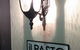 Il Pasto - thumb 7