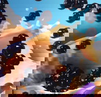 Chatime Subiaco - Accommodation Batemans Bay