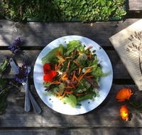 Fair Harvest Farm Cafe - Accommodation Batemans Bay