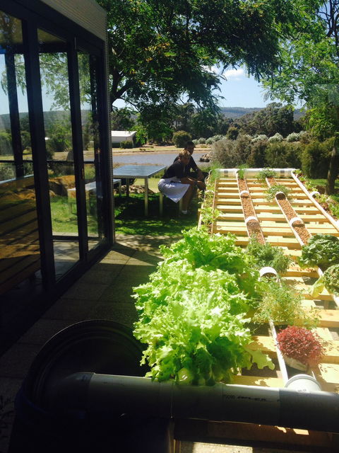 Petra Olive Oil Shed Door Tasting Room & Farm Shop - Accommodation Batemans Bay 2