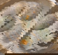 Tang Song - Accommodation Batemans Bay