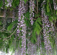 The Topiary Pantry - Accommodation Batemans Bay