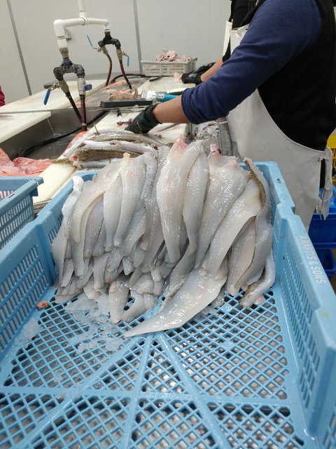 The Fresh Fish Place - Factory Direct Seafood - Accommodation Batemans Bay 4