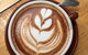 DeGroot Coffee Co - thumb 5