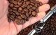 Fleurieu Roast - thumb 1