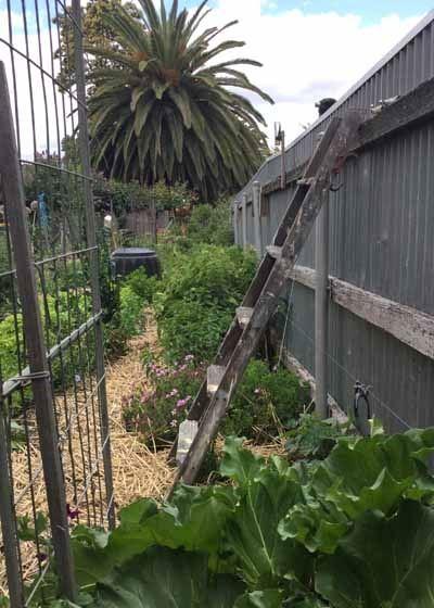 Grand Bar & Bistro - Accommodation Batemans Bay 11