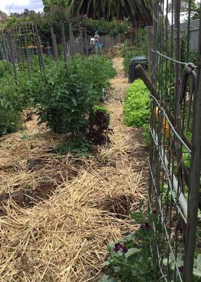 Grand Bar & Bistro - Accommodation Batemans Bay 1