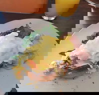 Stock Bar  Grill - Accommodation Batemans Bay