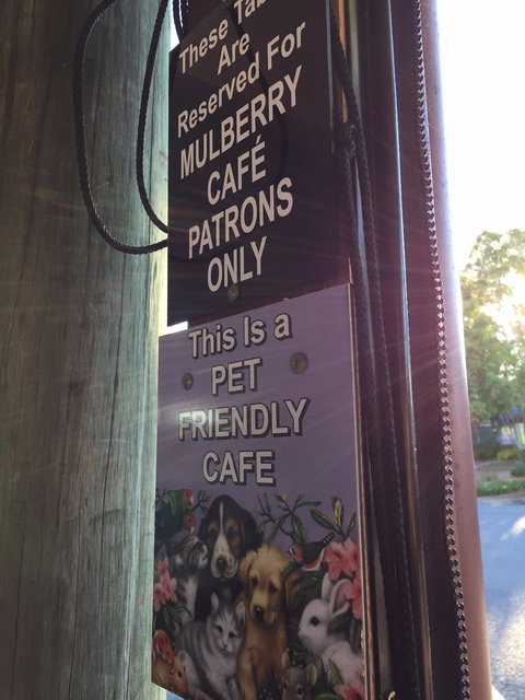 Mulberry Cafe - Accommodation Batemans Bay 6