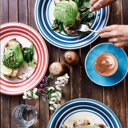 The Early Bird - Accommodation Batemans Bay 0