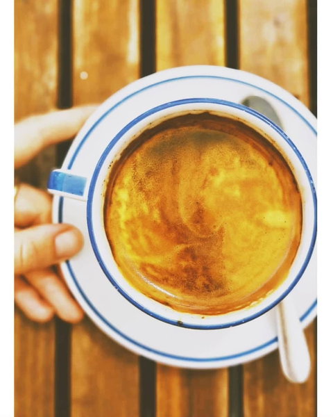 The Early Bird - Accommodation Batemans Bay 1