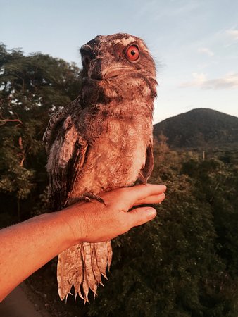 Cafe Anywhere - Accommodation Batemans Bay 0