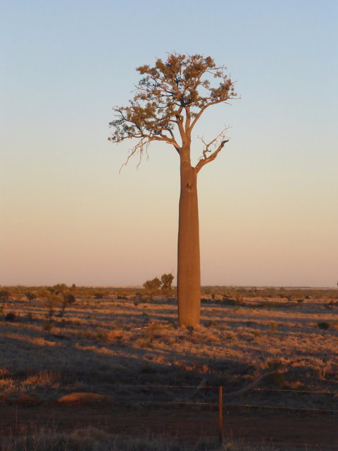 Heinemanns Bakery & Cafe - Accommodation Batemans Bay 3