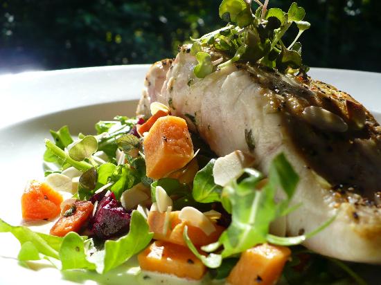 Cape Tribulation QLD Accommodation Batemans Bay