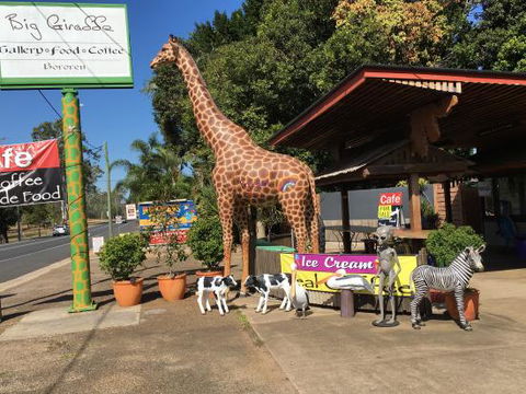 The Big Giraffe - Accommodation Batemans Bay 0
