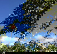 Whileaway Bookshop  Cafe - Accommodation Batemans Bay