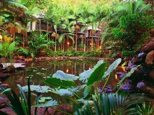 Daintree Eco Lodge & Spa - Accommodation Batemans Bay 0