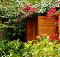 Pink Flamingo - Accommodation Batemans Bay