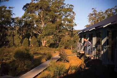 Cradle Mountain Wilderness Village - Accommodation Batemans Bay 2