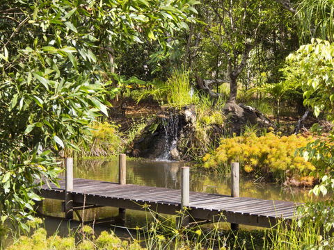 Cedar Park Rainforest Resort - Accommodation Batemans Bay 0