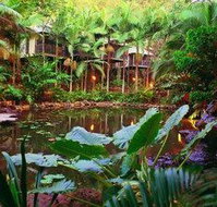 Daintree Eco Lodge  Spa - Accommodation Batemans Bay