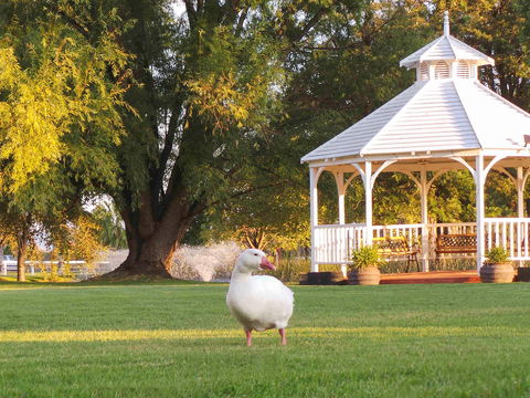 Parklands Resort & Conference Ctr - Accommodation Batemans Bay 1