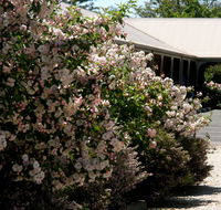 Wine Village Motor Inn - Accommodation Batemans Bay
