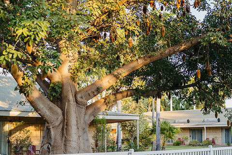 Kimberley Grande Resort & Conf Ctr - Accommodation Batemans Bay 0