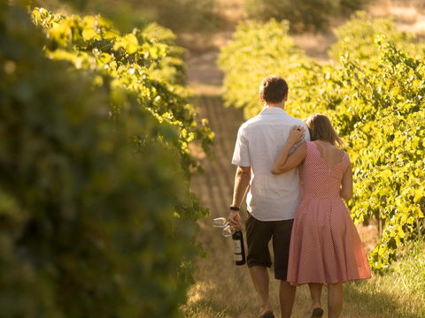 Novotel Barossa Valley Resort - Accommodation Batemans Bay 1