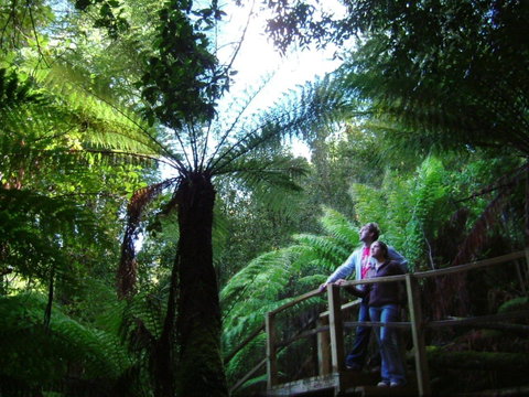 Huon Bush Retreats - Accommodation Batemans Bay 1