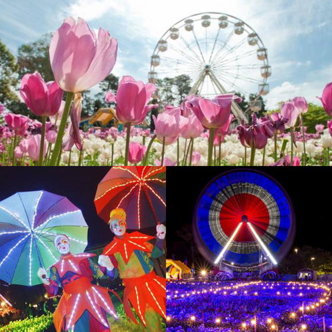 Modern Executive Apt@Barton*1BR*WiFi*Gym*Secure Parking*Canberra - Accommodation Batemans Bay 28