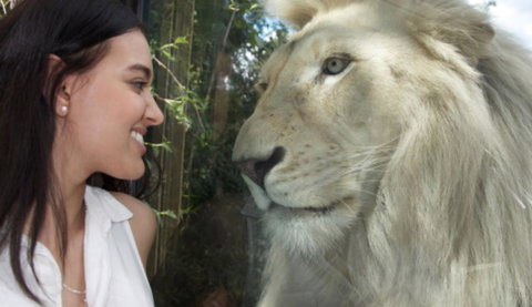 Modern Executive Apt@Barton*1BR*WiFi*Gym*Secure Parking*Canberra - Accommodation Batemans Bay 30