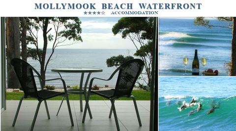 Mollymook Beach Waterfront - Accommodation Batemans Bay 1