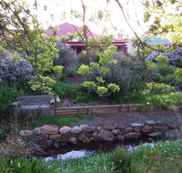 Frog Song at Willunga - Accommodation Batemans Bay