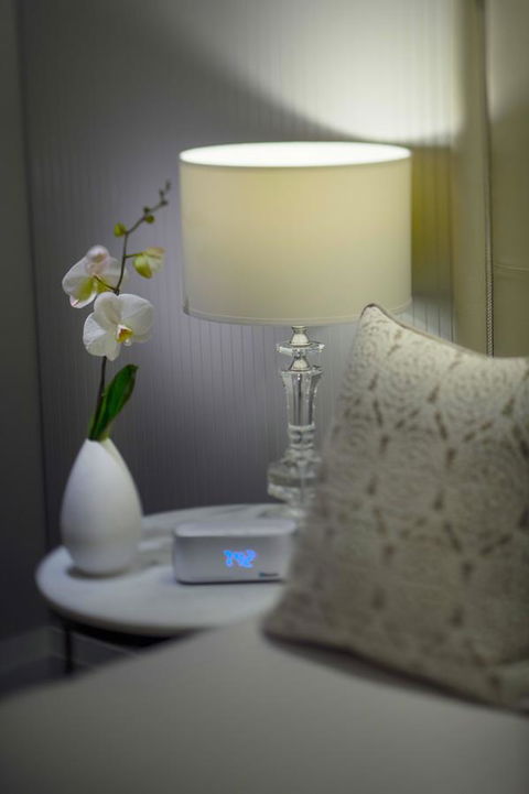 Mayfair Hotel - Accommodation Batemans Bay 13