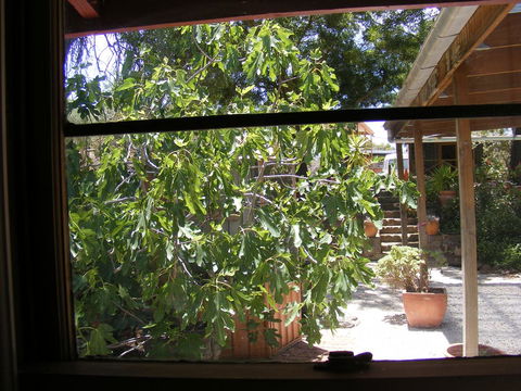 Trevalia Accommodation - Accommodation Batemans Bay 4