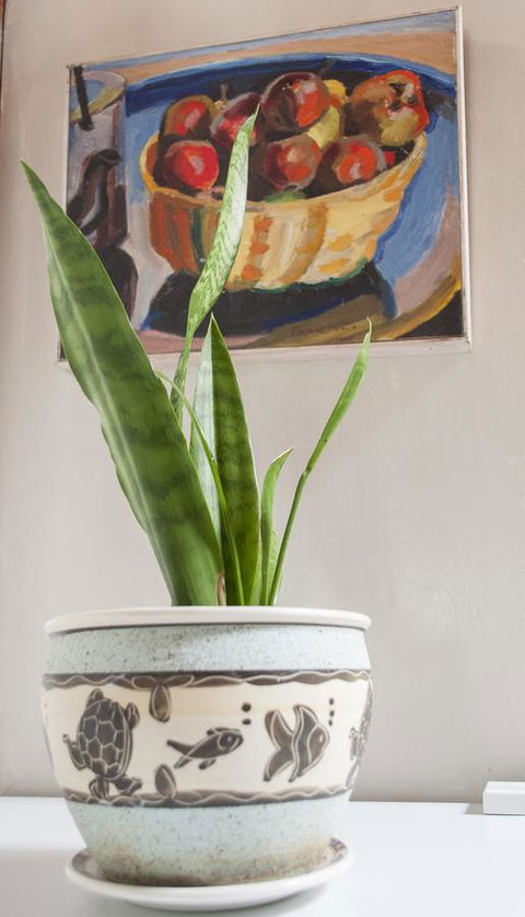 Trevalia Accommodation - Accommodation Batemans Bay 27