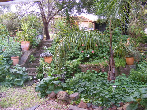 Trevalia Accommodation - Accommodation Batemans Bay 12