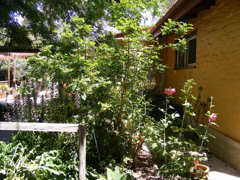 Trevalia Accommodation - Accommodation Batemans Bay 7