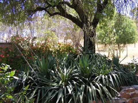 Trevalia Accommodation - Accommodation Batemans Bay 6