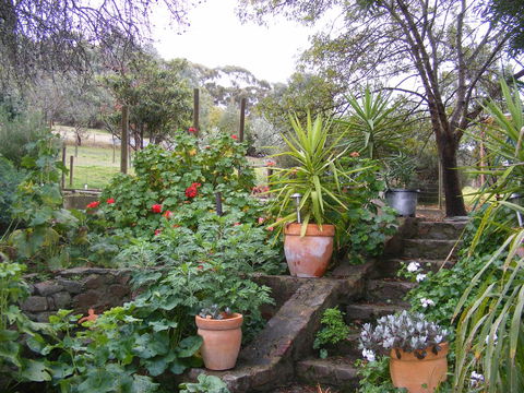 Trevalia Accommodation - Accommodation Batemans Bay 13