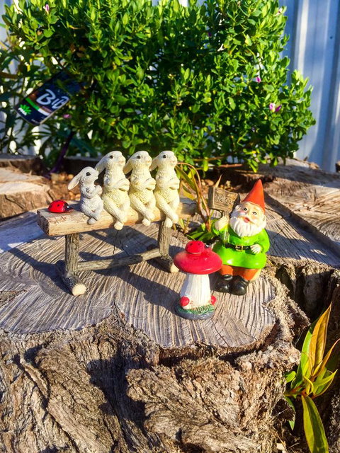 Inglenook Cottage - Accommodation Batemans Bay 34