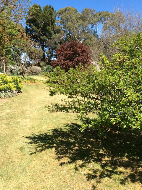 Kit Kat Cottage - Heritage Accommodation Burra - Accommodation Batemans Bay 6