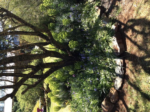 Kit Kat Cottage - Heritage Accommodation Burra - Accommodation Batemans Bay 3