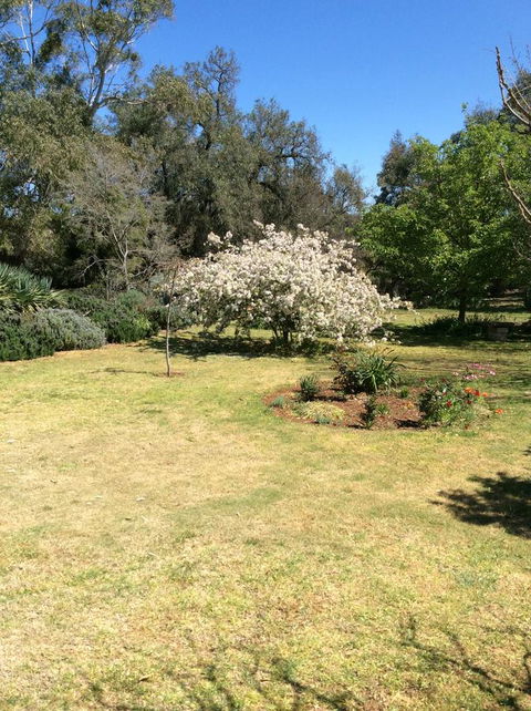 Kit Kat Cottage - Heritage Accommodation Burra - Accommodation Batemans Bay 5