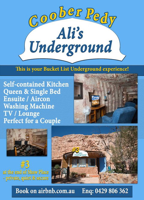 Ali\'s Underground Studio - Accommodation Batemans Bay 12
