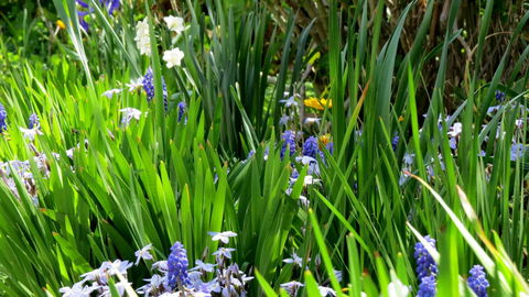 The Pig And Whistle - Accommodation Batemans Bay 23