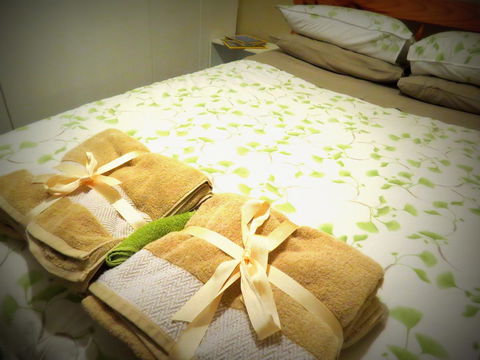 The Pig And Whistle - Accommodation Batemans Bay 3