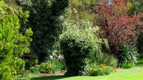 The Pig And Whistle - Accommodation Batemans Bay 19